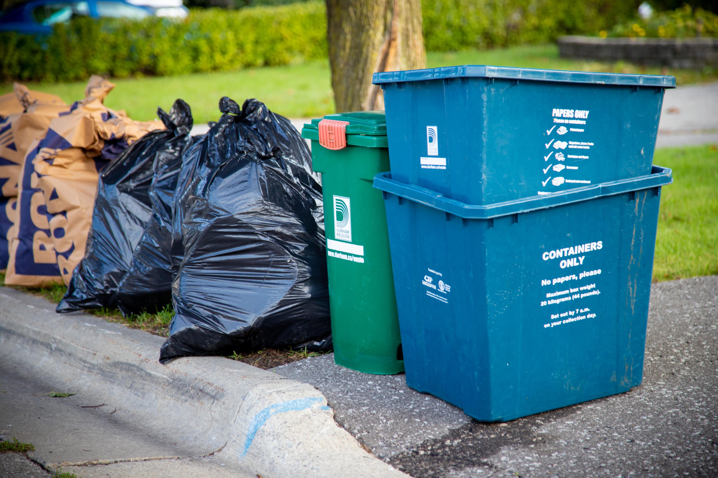 seasonal yard waste, garbage, green bin and blue boxes set out at the curb