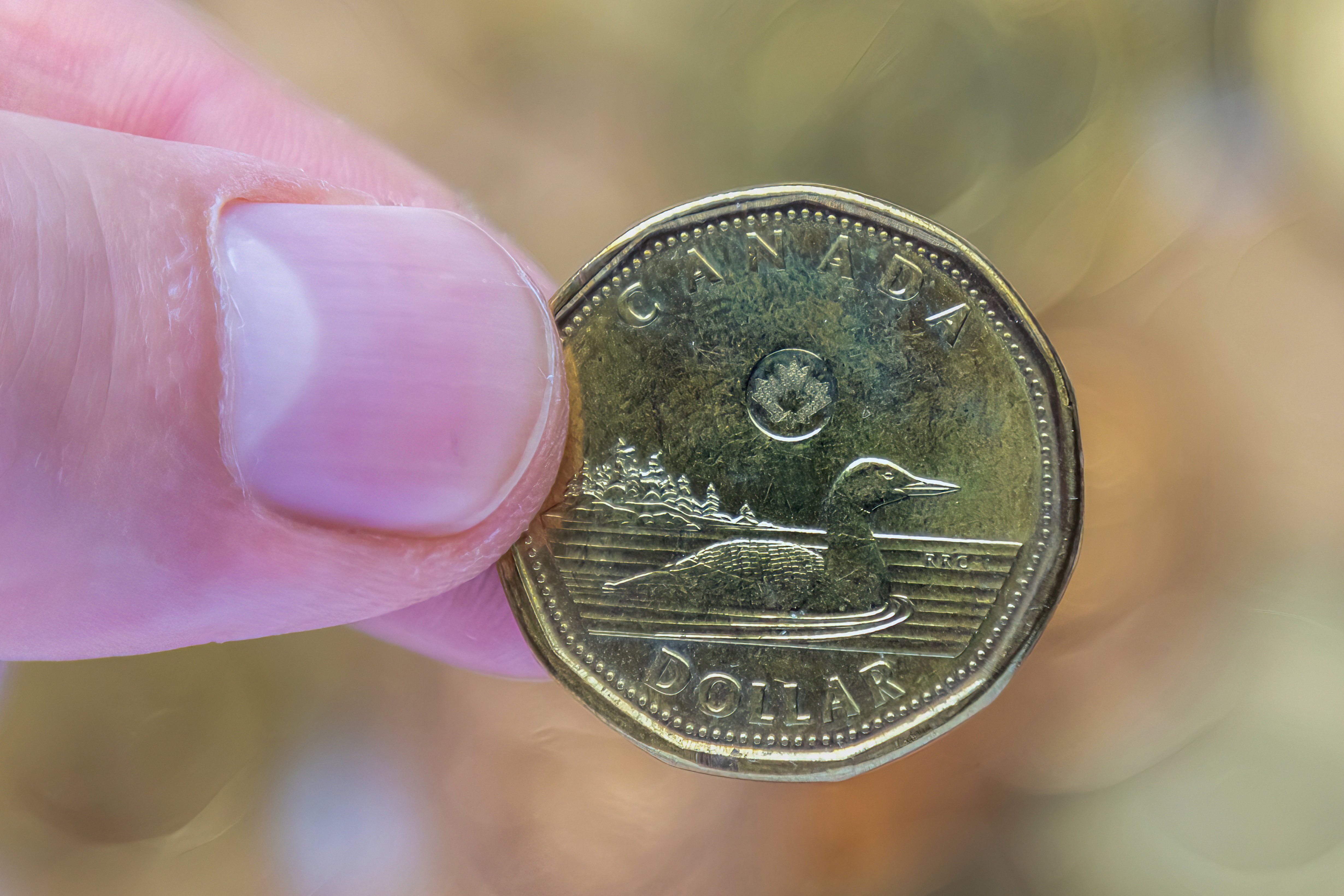 Two fingers holding a loonie