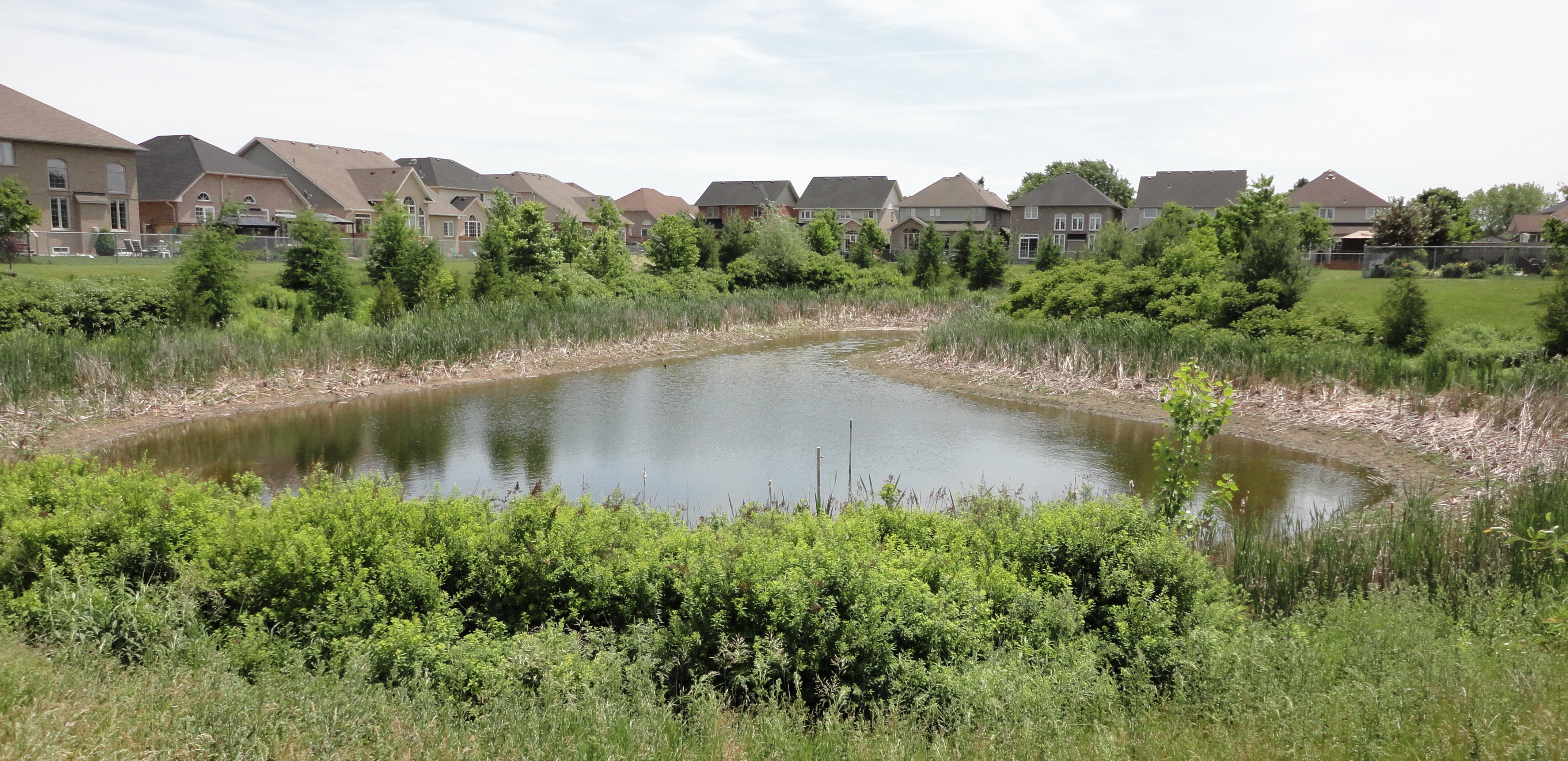 a stormwater management pond in Oshawa