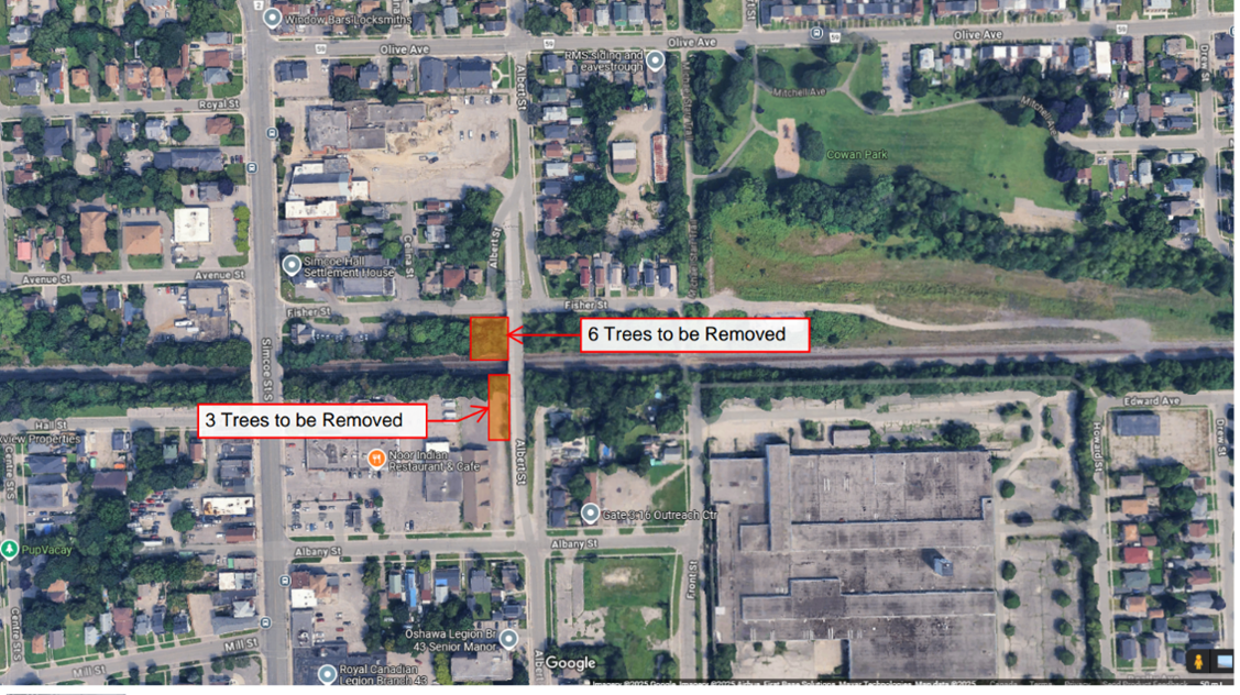 Location of tree pruning and removal along Albert Street in Oshawa.