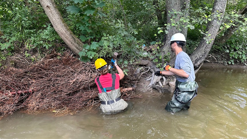 two CLOCA workers stand in the water while restoring holiday trees