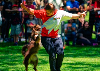 man with dog doing tricks