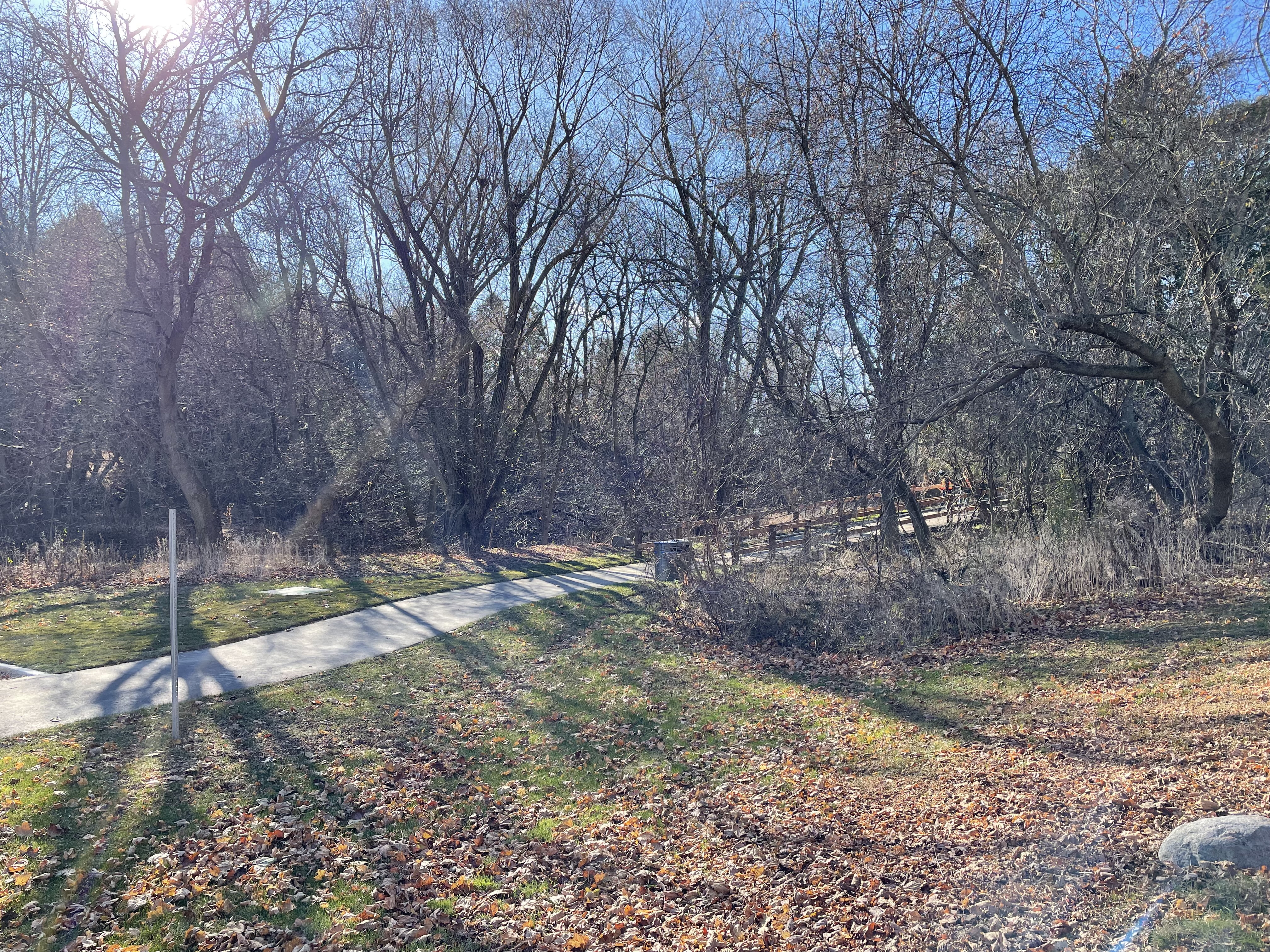 Greenbriar Park Pathway