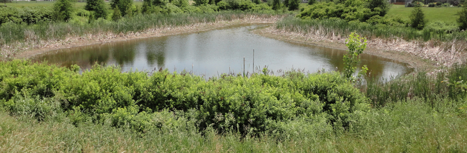 Stormwater pond in Oshawa